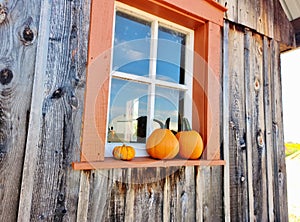 Country decor with pumkins on a barn window touristic farm site in countryside. Autumn in the farm.
