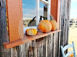 Country decor with pumkins on touristic farm site in october fall countryside. Autumn in the farm.