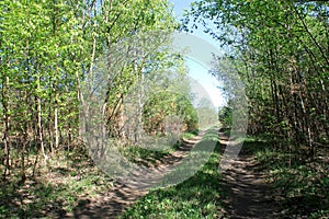 Country dirt road