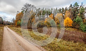 Country dirt road during autumn.