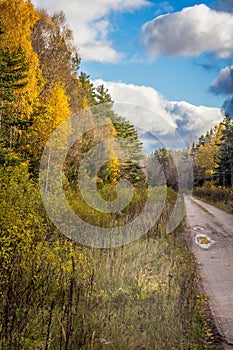 Country dirt road during autumn with big puffy clouds.