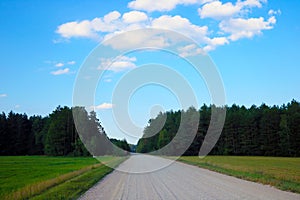 Country dirt road in the countryside. Rural crops grow along the road