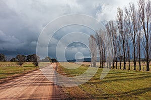 Country dirt road with dramatic storm clouds and poplars