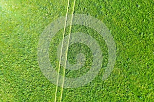 Country dirt road among green meadows in the summer field, aerial top view