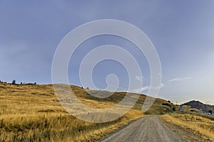 Country, dirt road leading forward, yellow steppe grass along the edges of the road, hills and individual trees ahead