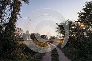 Country dirt road in Lomellina at sunset