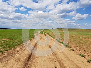 Country dirt road in the steppe