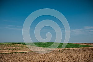 Unworked field with wheel tracks in spring near wheat land. Dirt texture with blue sky. Country dirt field texture.