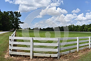 Country Drive in East Texas and I seen this wonder field fence and sky