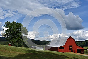 Country Drive into Georgia and found some Amazing old Barns