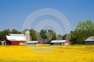 Country farm in springtime