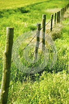 Country Fence