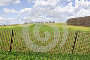 Country Fence