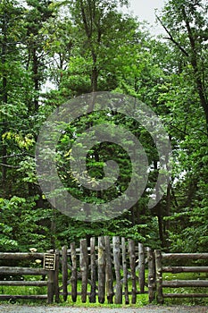 Country fence and sign with forest in background