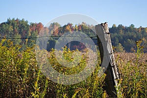 Country Field In Autumn Wire Fence With Wooden Post