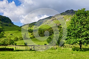 Country fields and hillside