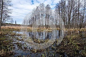 country forest river in early spring with no vegetation on the shores