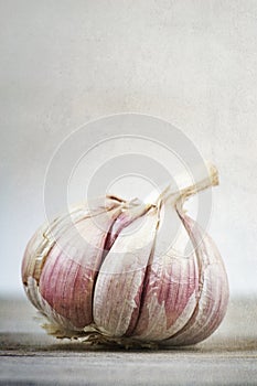 Country garlic