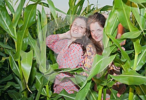 Country girls in corn field
