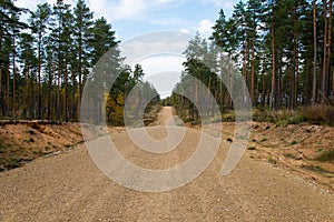 Country gravel road in the forest