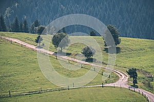 country gravel road leading up to the mountains - vintage retro