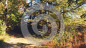 Country Gravel Road by a Rustic Fence