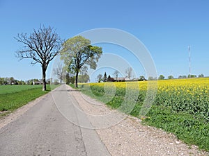 Country highroad , Lithuania