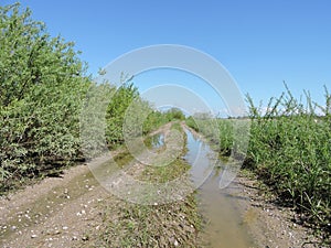 Country highroad with swamp , Lithuania