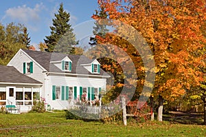 Country house in autumn