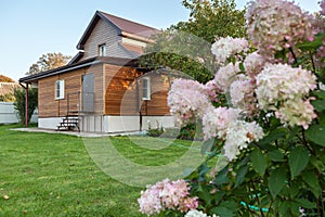 Country house and backyard with beautiful flowers and green lawn, nobody, horizontal image