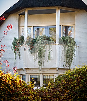 Country house with balcony and plants