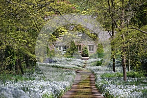 Country House at the End of a Flower Lined Lane