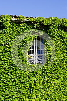 Country house facade in the green