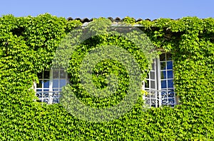 Country house facade in the green