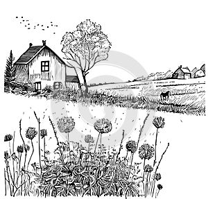 Country house on the field hand drawn sketch in doodle style Vector illustration