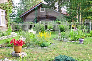 Country house made of dark logs and beautiful garden with blooming flowers in summer