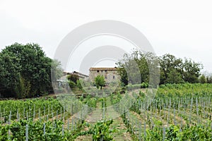 country house in mugello tuscany, italy photo