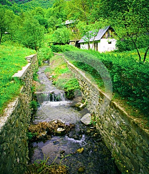 Country house in nature