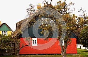 Country house with thatched roof_2