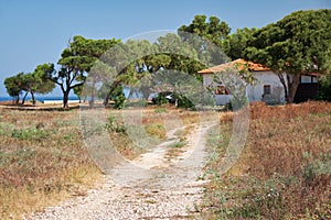 The country house under the trees on the seacoast of Paphos. Cyprus