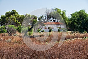 The country house under the trees on the seacoast of Paphos. Cyprus