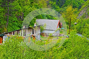 Country houses in the Village of Capalna Romania