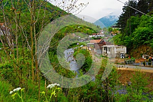 Country houses in the Village of Capalna Romania