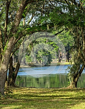 Country Lake