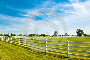 Country landscape.