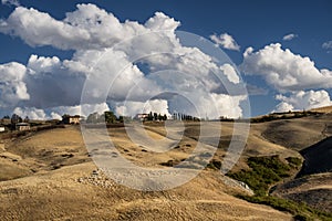 Summer landscape near Asciano photo