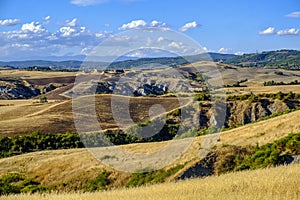 Summer landscape near Asciano photo