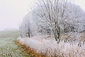 Country landscape cold and frosty day stock photo