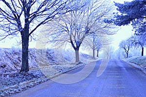 Country landscape cold and frosty day stock photo