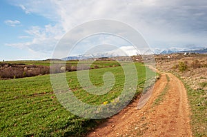 Country landscape, dirt road along the green fields at sunset